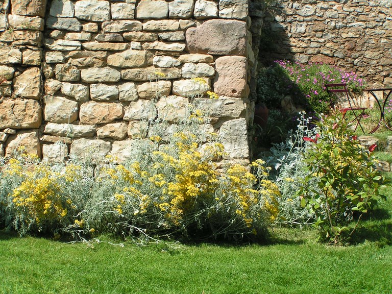 Le jardin et ses fleurs